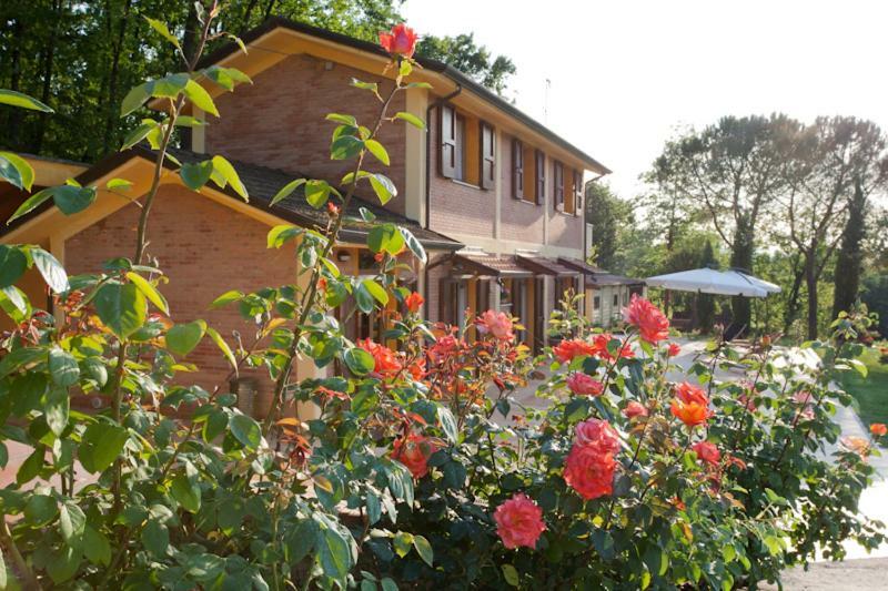 Agriturismo Di Paterno ซาร์ซานา ภายนอก รูปภาพ